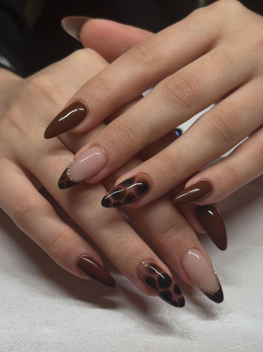 Cocoa Muse